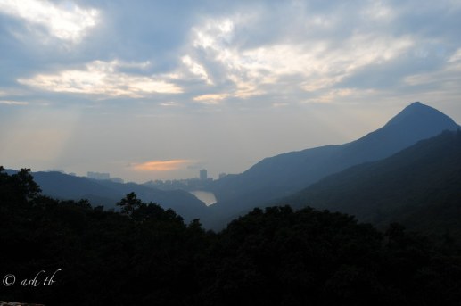 HongKong Adasi'nin arka yuzu