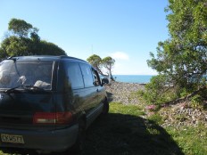 omihi orman kampinda